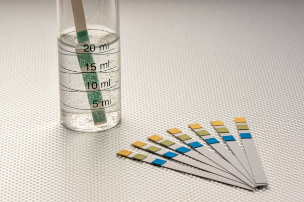 Why Families Are Moving Beyond DIY Lead Water Test Kits